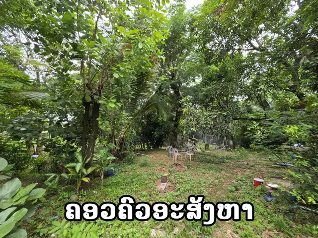 ຂາຍດ່ວນ ເຮືອນພ້ອມດິນແປງໃຫຍ່ ບ້ານຕານມີໄຊ 2,012 ຕາແມັດ