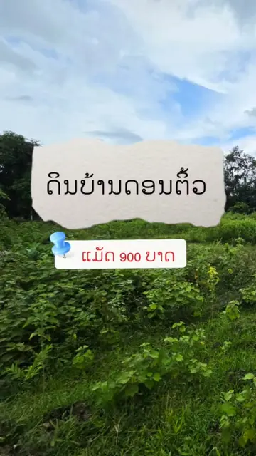 ຂາຍດິນເປົ່າ ບ້ານດອນຕິ້ວ ຮ່ອມ 8 900 ຕາແມັດ
